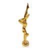 GIMNASTA VERTICAL