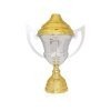 Copa Valeria COPA VALERIA