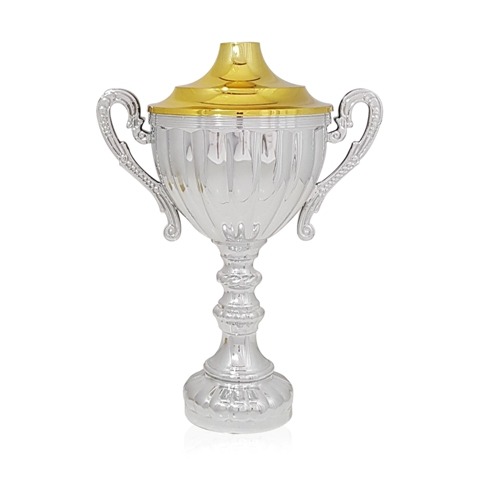 copa paris grande plata COPA PARIS