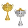 376-0-1 ORO-PLATA COPA 376 CON TAPA