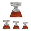 Copa Diana OK COPA DIANA C/BASE