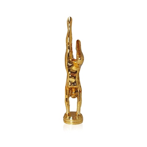 GIMNASTA VERTICAL