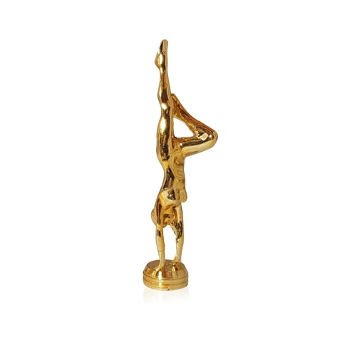 GIMNASTA VERTICAL