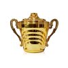 COPA ARGENTINA (TAPA Y CUERPO)