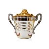 COPA ARGENTINA (TAPA Y CUERPO)