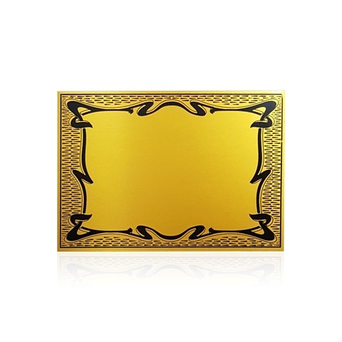 69720 (2) CHAPA POKER ORO