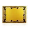 69730 (2) CHAPA POKER ORO