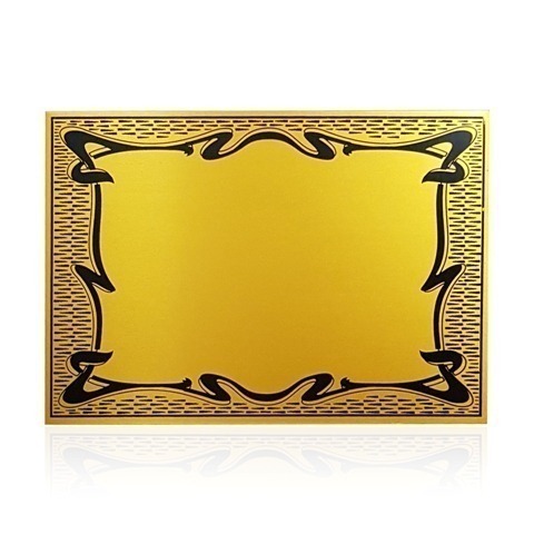 69730 (2) CHAPA POKER ORO